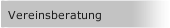 Vereinsberatung